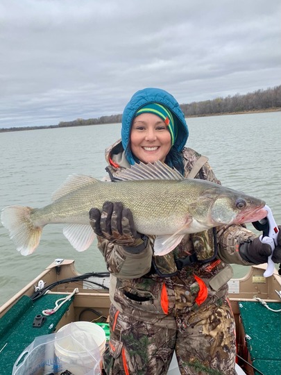 Walleye