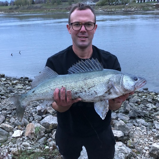 Walleye