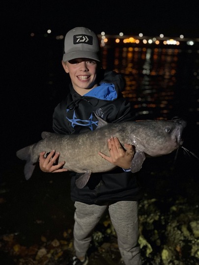 Channel Catfish