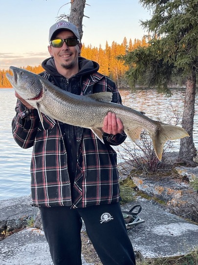 Lake Trout