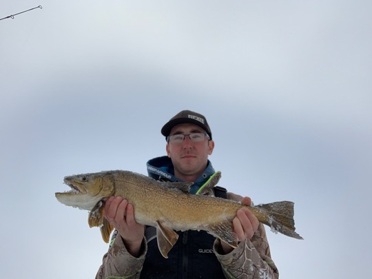 Tiger Trout