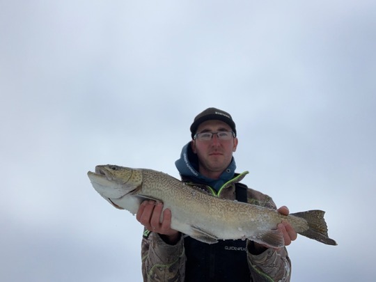 Tiger Trout