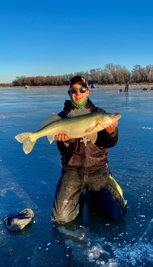 Walleye