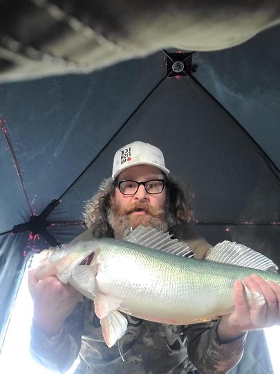 Walleye