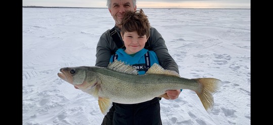 Walleye