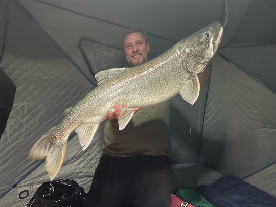 Lake Trout