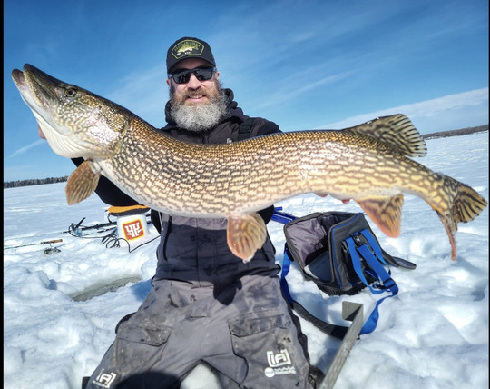 Northern Pike