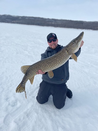 Northern Pike