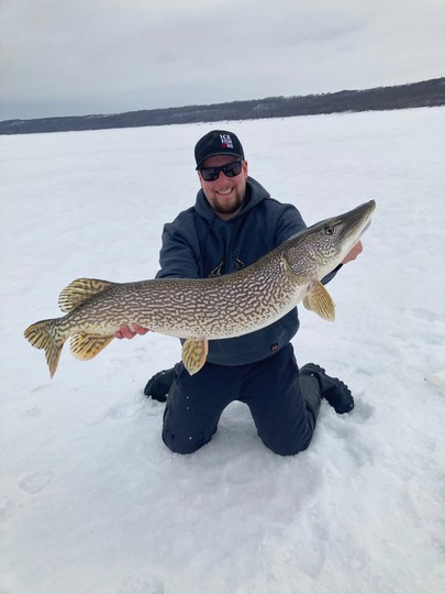 Northern Pike