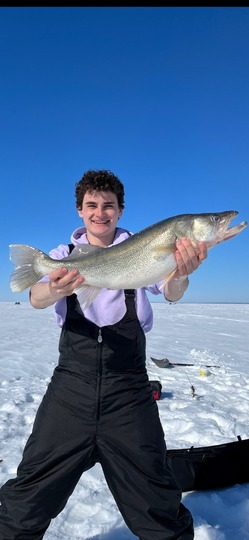 Walleye