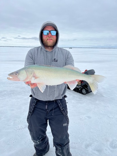 Walleye