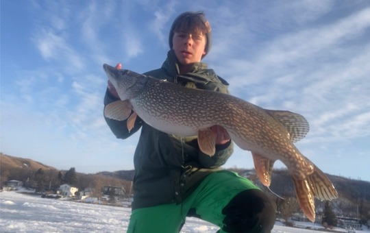 Northern Pike