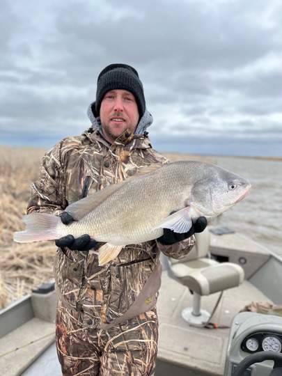 Freshwater Drum