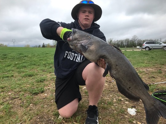 Channel Catfish