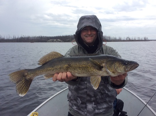 Walleye