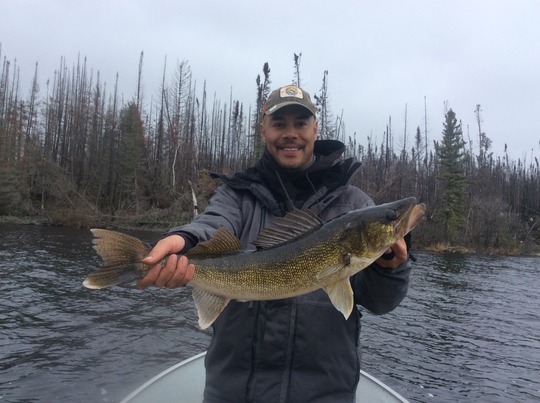 Walleye
