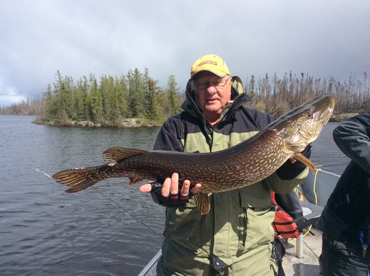 Northern Pike