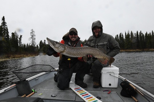 Northern Pike