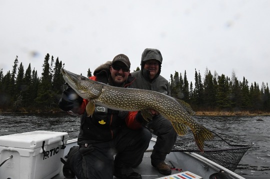 Northern Pike