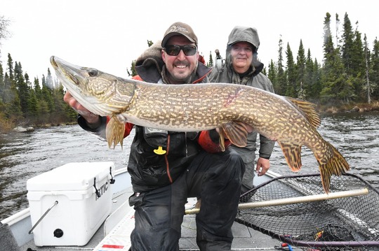 Northern Pike