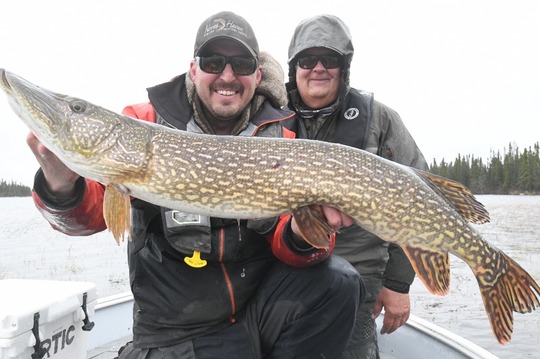 Northern Pike