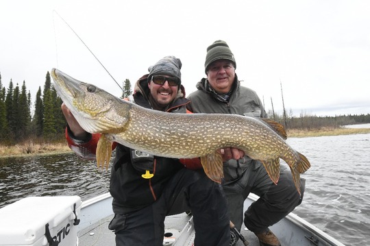 Northern Pike