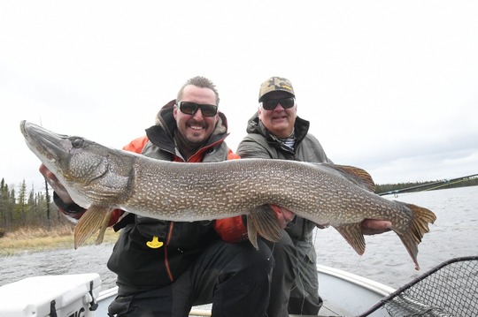 Northern Pike