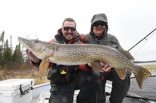 Northern Pike