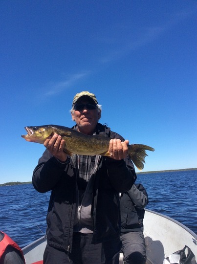 Walleye