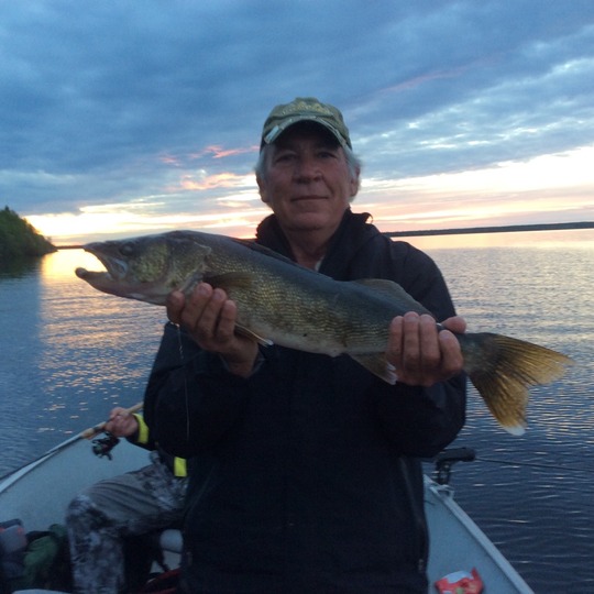 Walleye