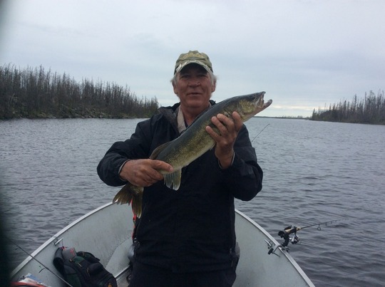 Walleye