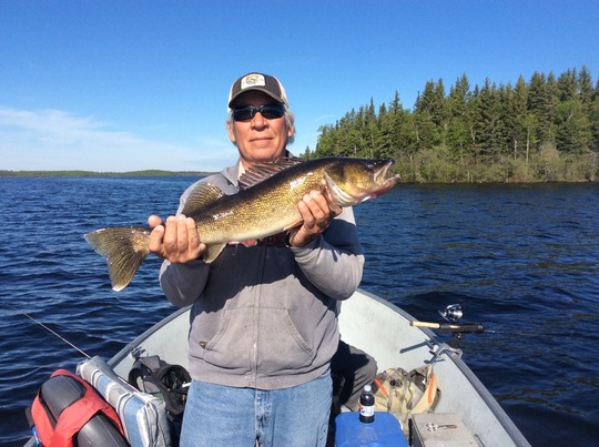 Walleye