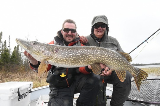 Northern Pike