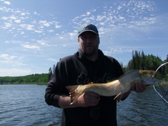 Tiger Trout