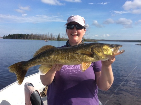 Walleye