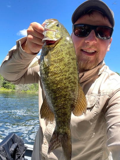 Smallmouth Bass