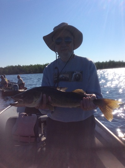 Walleye