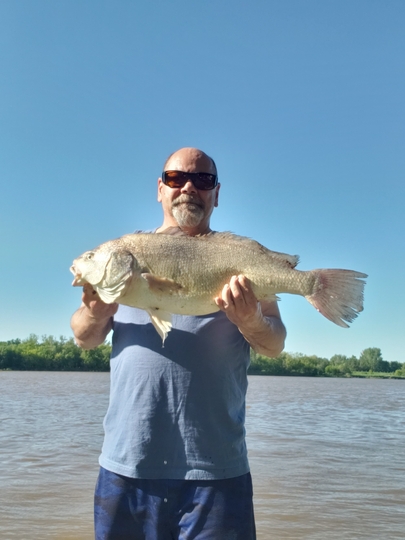 Freshwater Drum