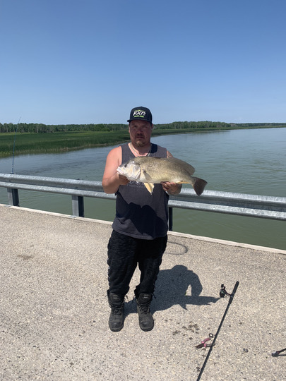 Freshwater Drum