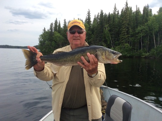 Walleye