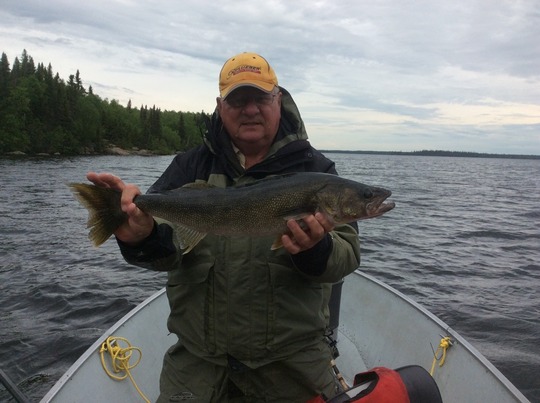 Walleye