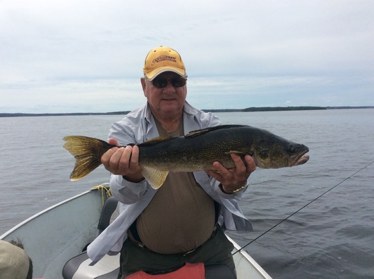 Walleye
