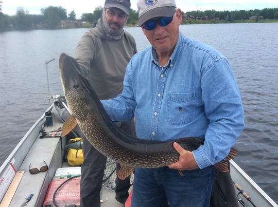 Northern Pike