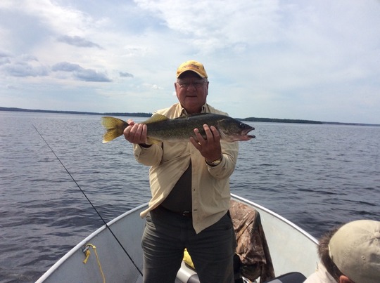 Walleye
