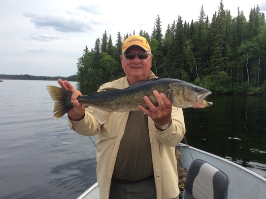 Walleye