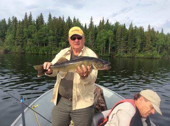 Walleye
