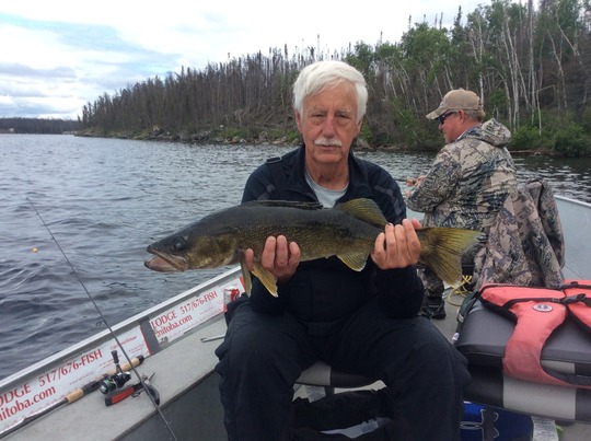 Walleye