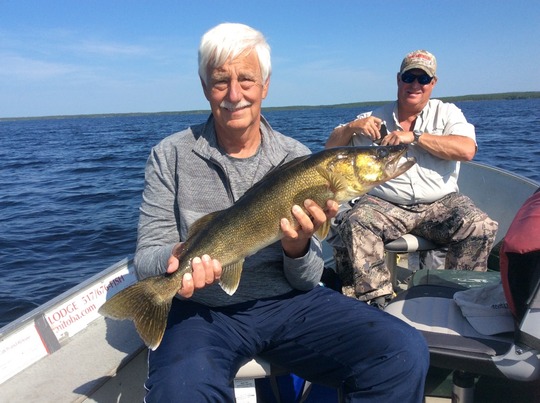 Walleye