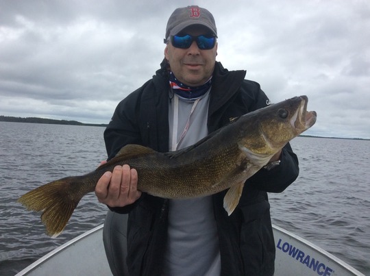 Walleye