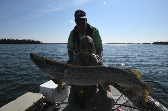 Northern Pike